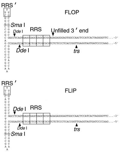 FIG. 7