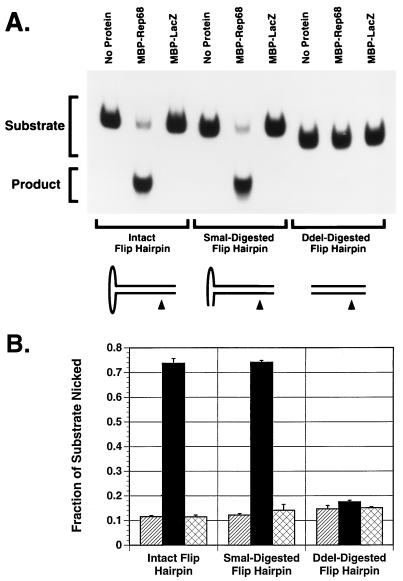 FIG. 10