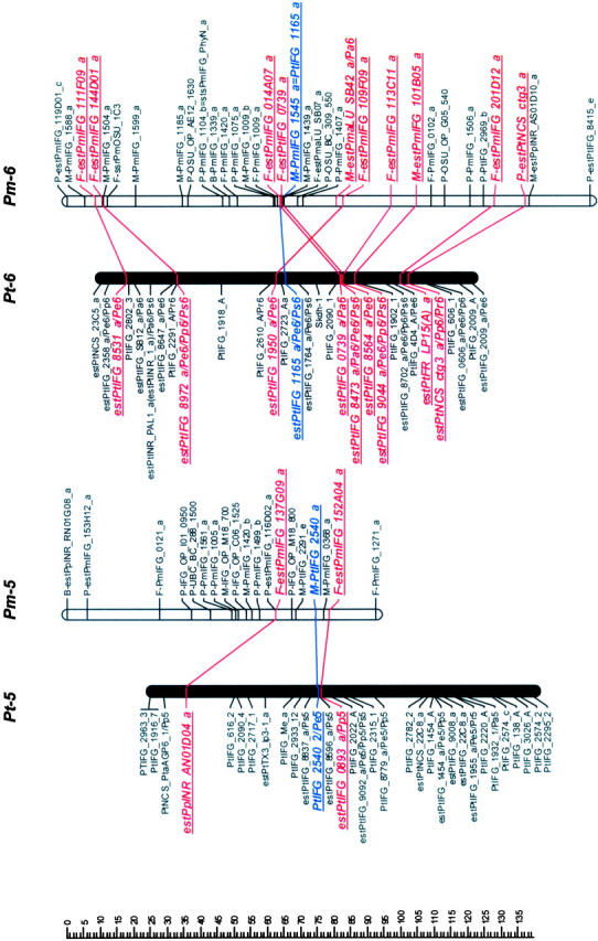 Figure 1.—