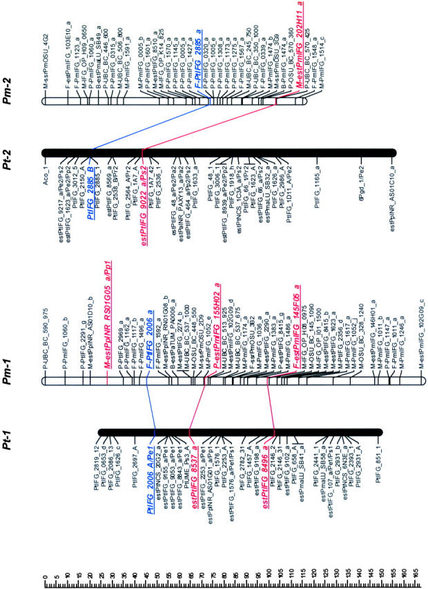 Figure 1.—