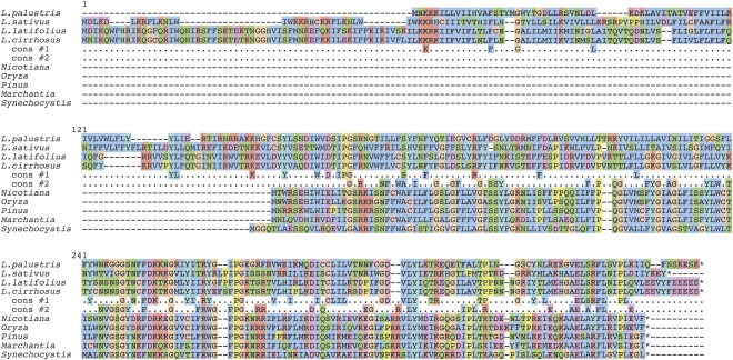 Figure 2.