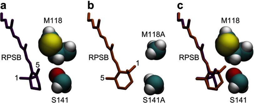 FIGURE 4.