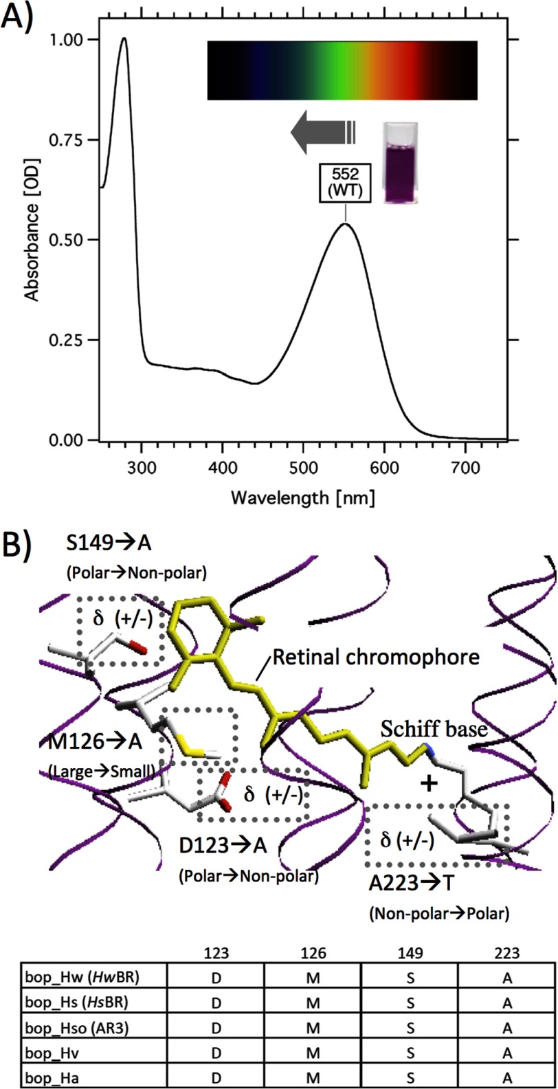 FIGURE 1.