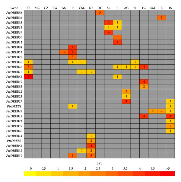 Figure 5