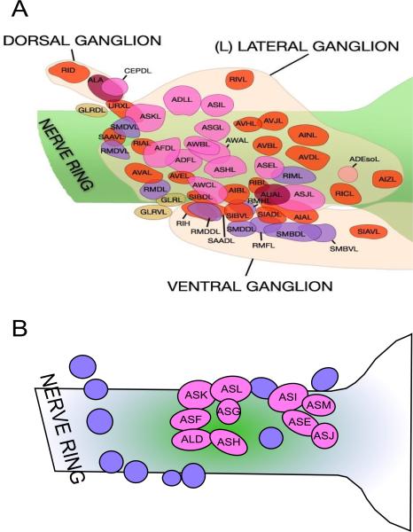 Fig. 2