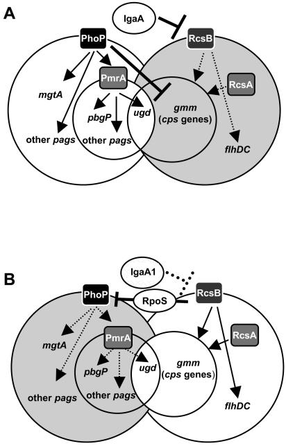 FIG. 7.