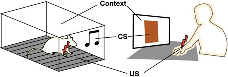 Figure 1: