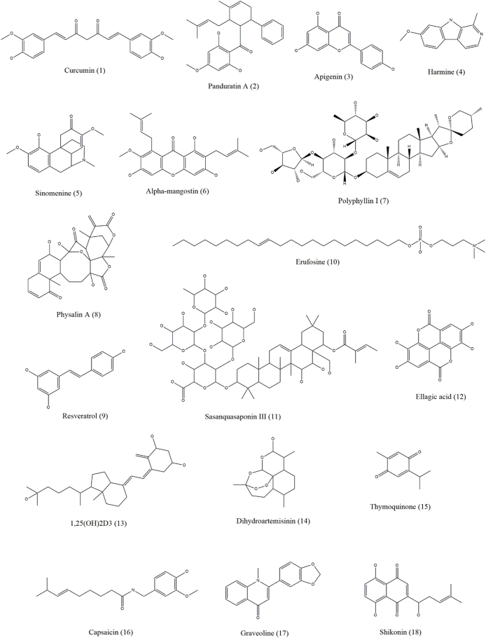 Figure 3