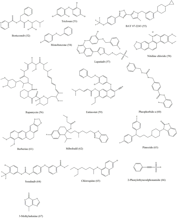 Figure 6