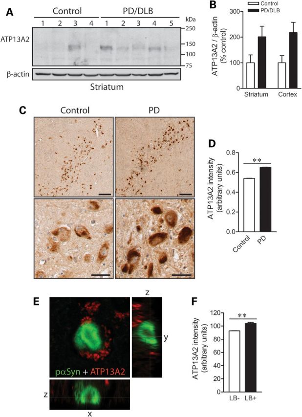 Figure 3.