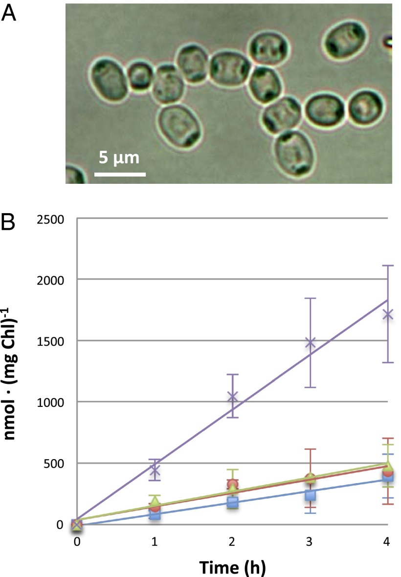 Fig. 4.