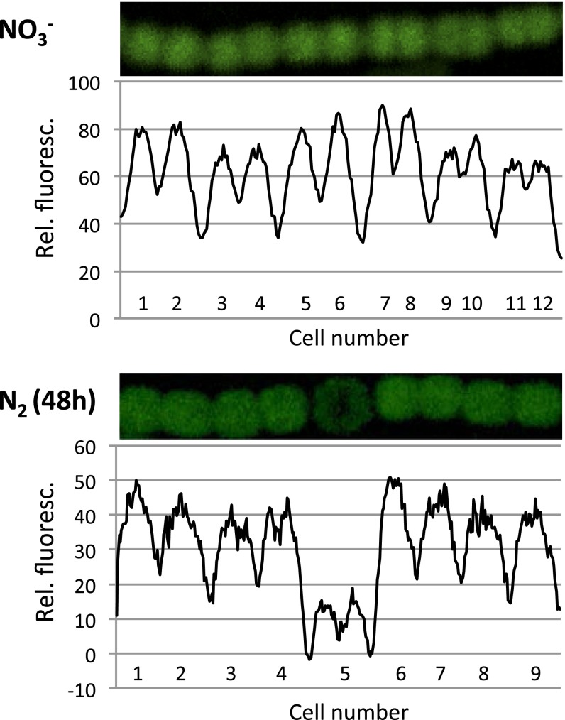 Fig. 3.