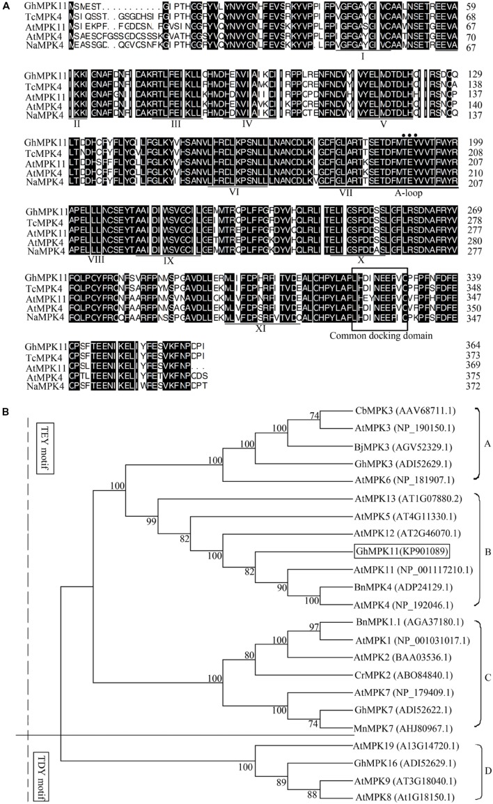 FIGURE 1