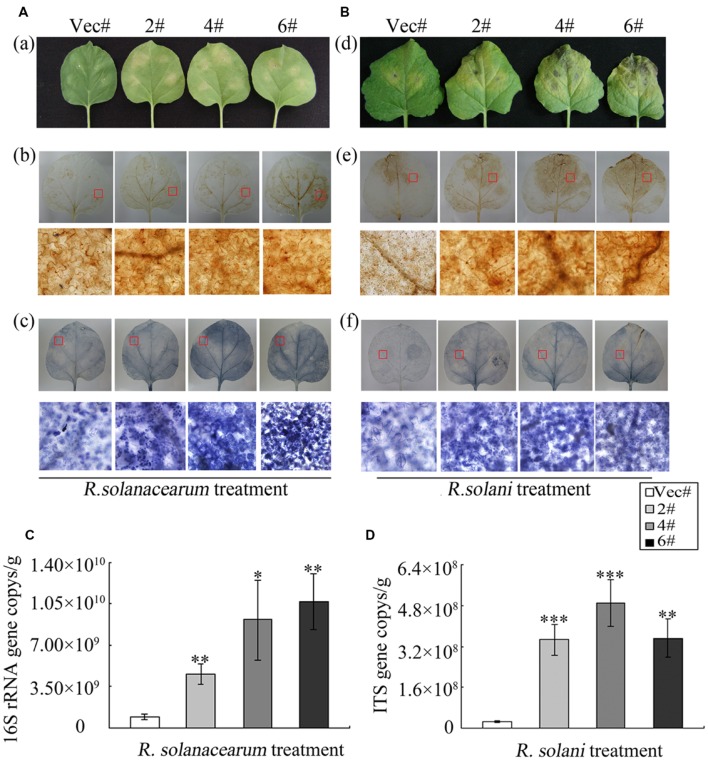 FIGURE 6