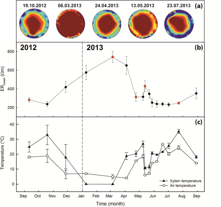 Fig. 2