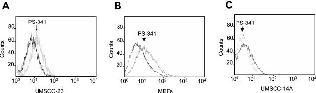 FIG. 6.