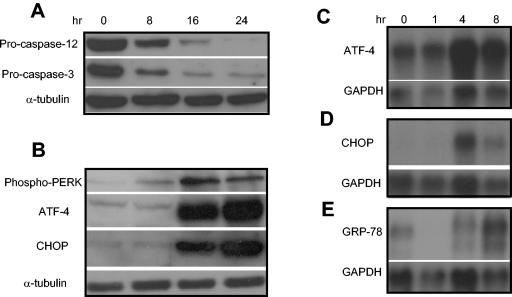 FIG. 5.