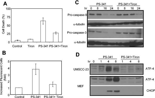 FIG. 7.