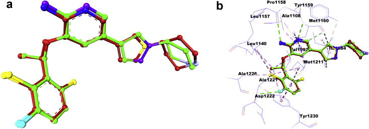 Figure 11