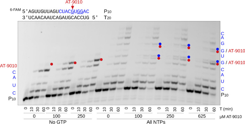 FIG 3