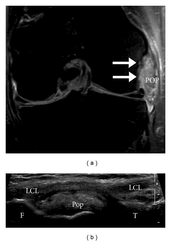 Figure 19