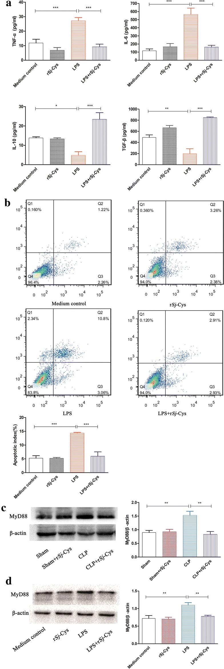 Fig. 4