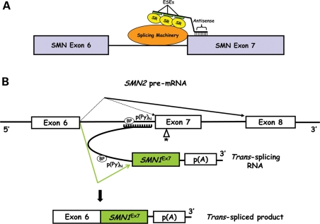 Figure 3.