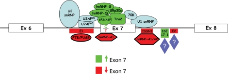 Figure 2.