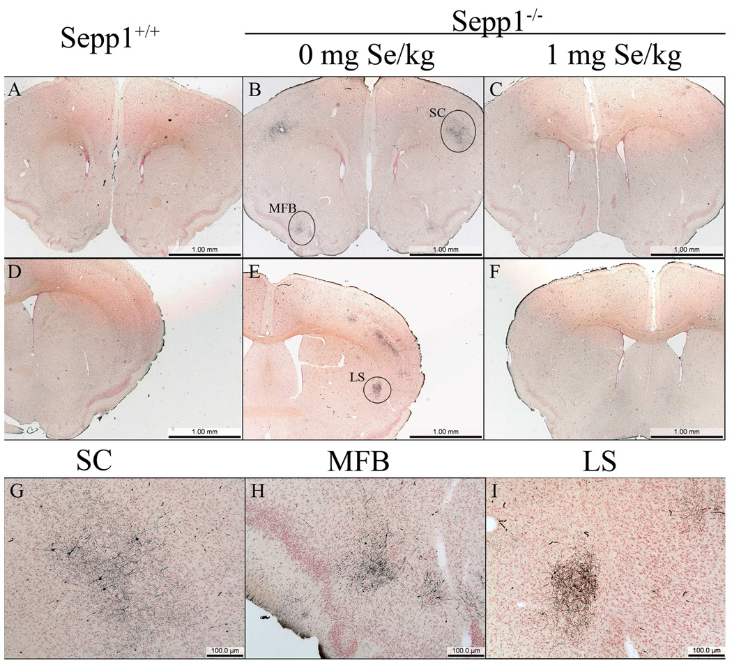 Fig.1