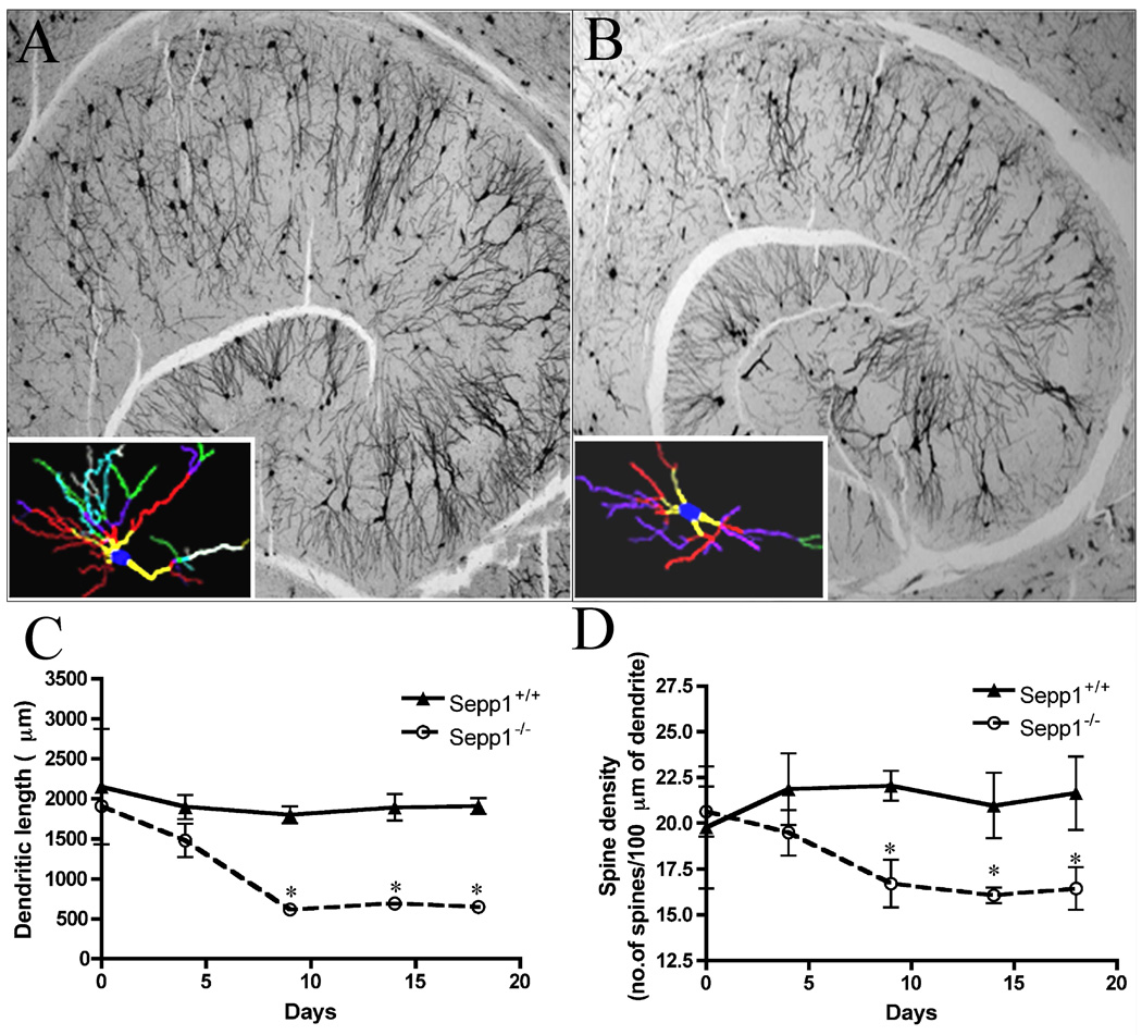 Fig. 8