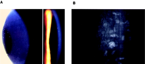 Figure  1