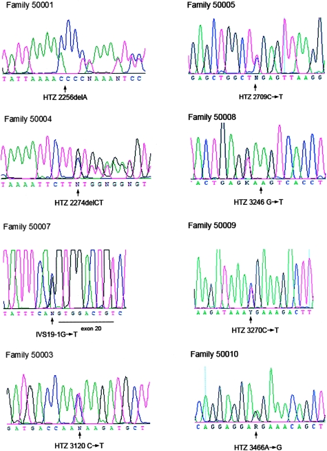 Figure  3