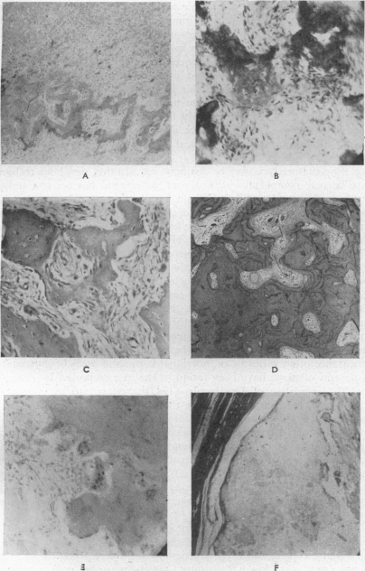 Fig. 18