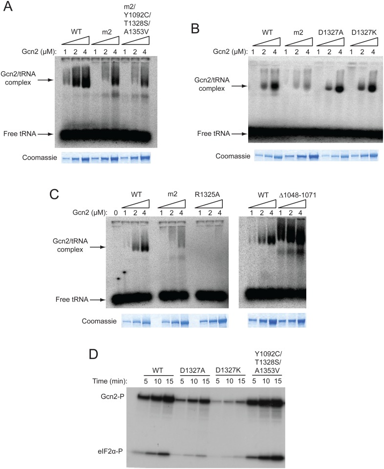 Fig 5