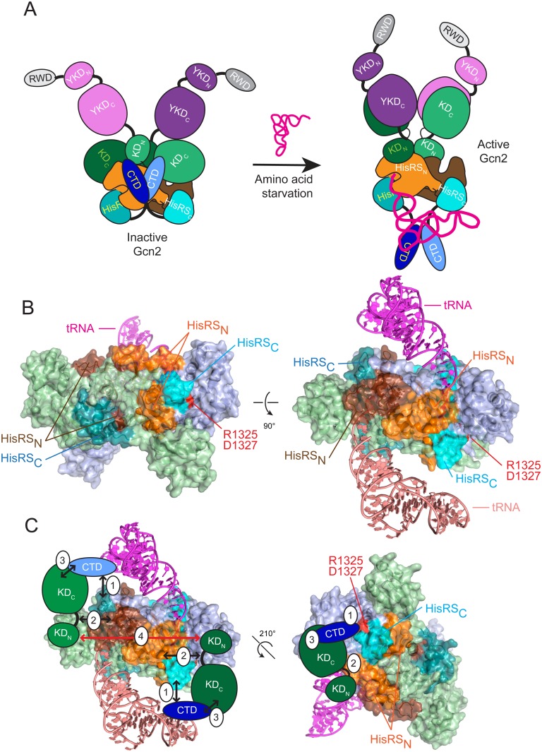 Fig 7