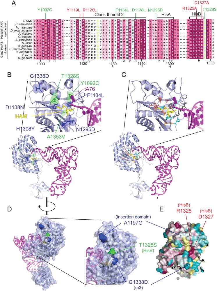 Fig 3