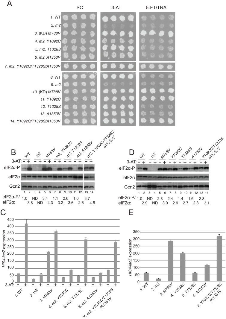 Fig 2