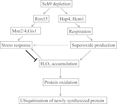 Fig. 7