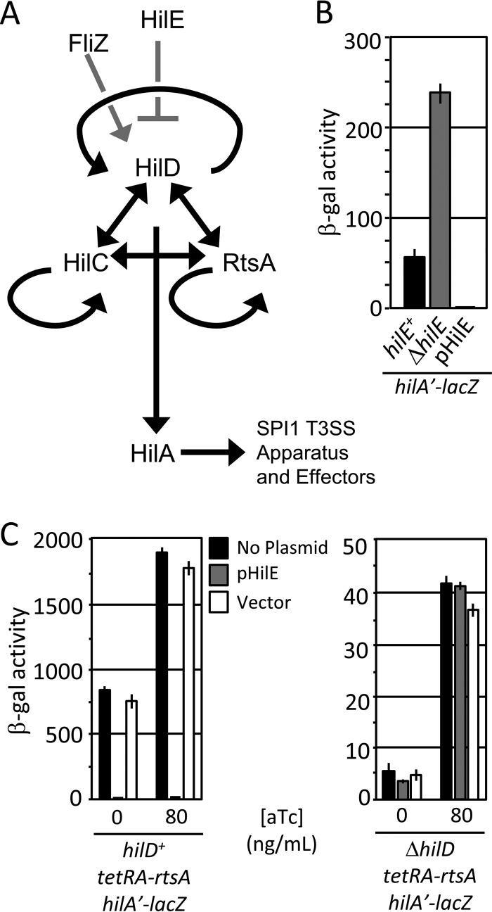 FIG 1