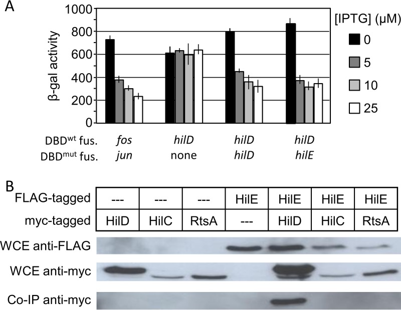 FIG 2