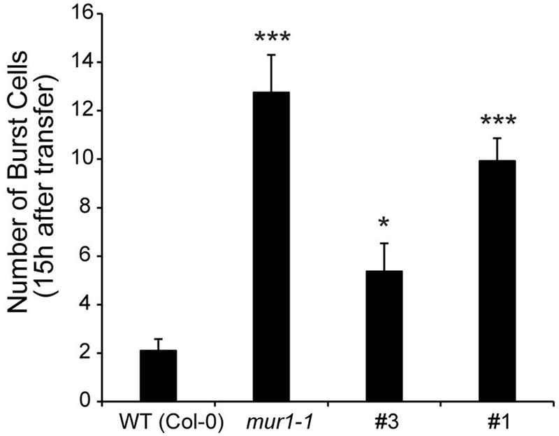 Figure 6: