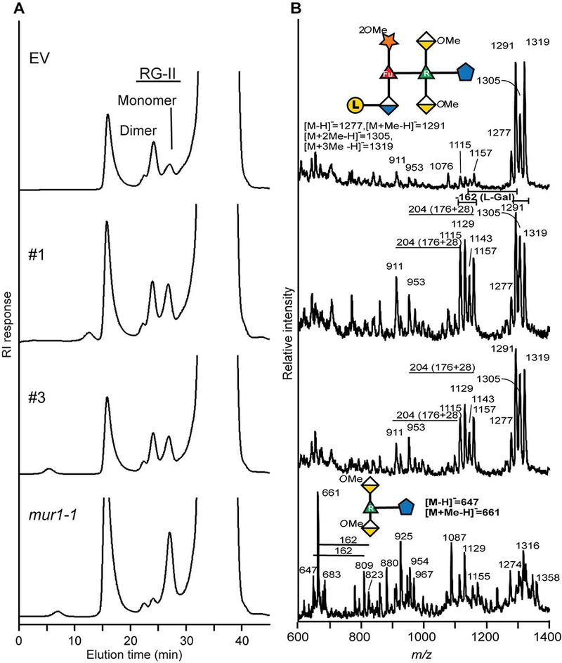 Figure 3: