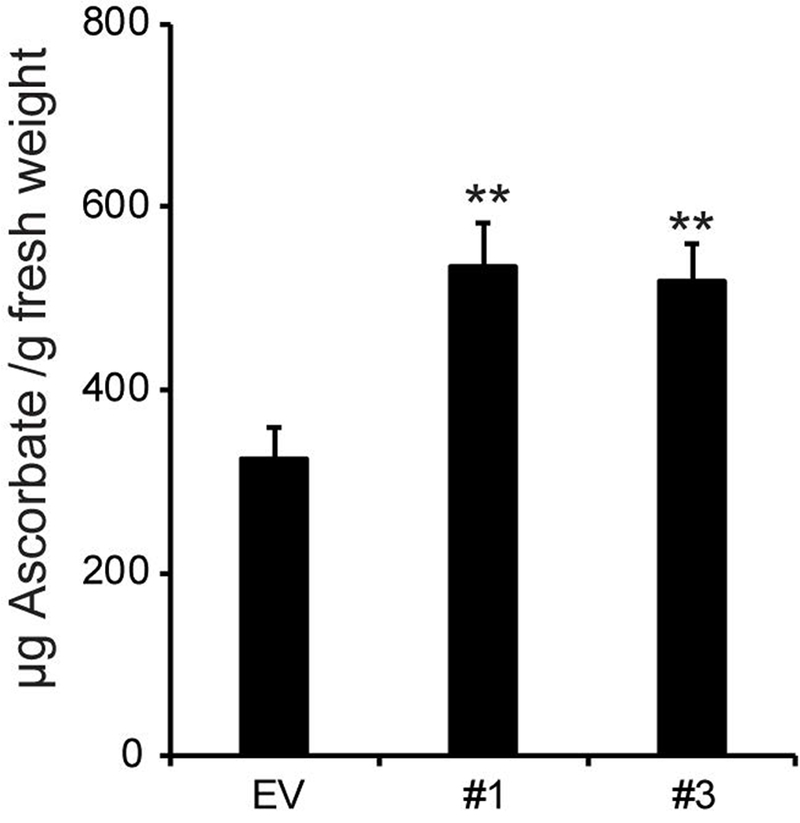 Figure 7: