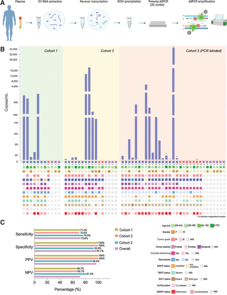 Figure 4. Detection of EGFRvIII mutation in plasma samples of patient cohort (n = 3). A, Schematic depicting experimental workflow, including isolation of plasma, extraction platform, reverse transcription, purification, and subsequent ddPCR amplification. B, Copies/mL of EGFRvIII mutation in tested plasma samples are graphed according to sample number. Oncoprint depicting the demographic characteristics and genomic landscape of each sample are plotted underneath. C, Contingency tables were constructed from data obtained, and sensitivity and specificity were calculated and graphed above. Overall sensitivity and specificity across all three cohorts are also reported.