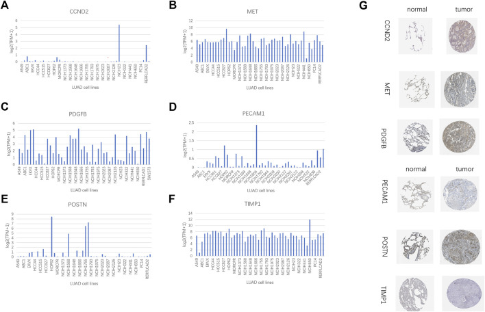 FIGURE 13