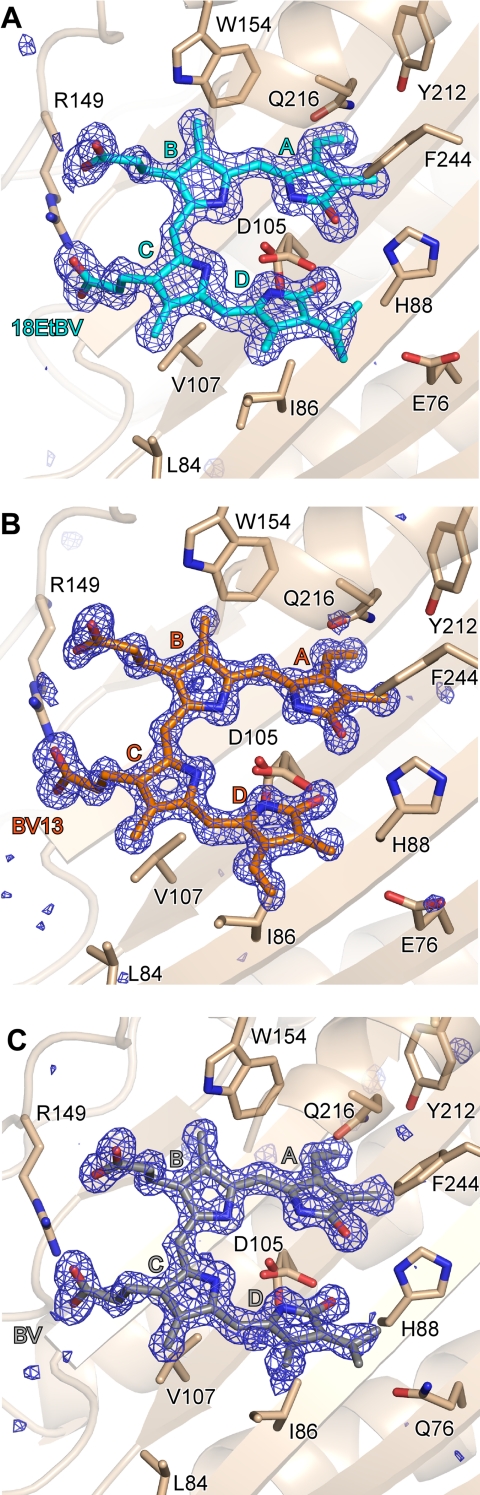 FIGURE 3.