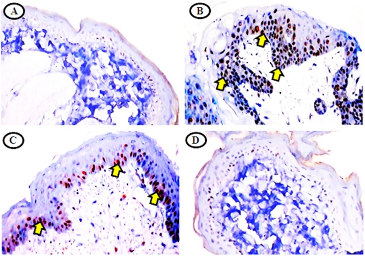 Fig. 7