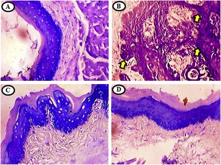 Fig. 6