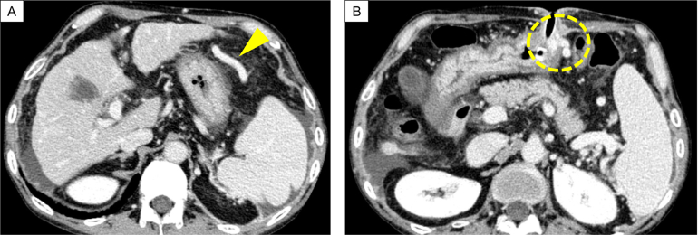 Figure 3