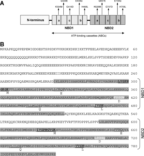 FIGURE 1.